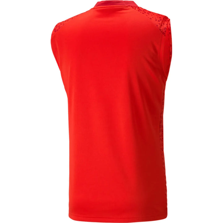 PUMA Team Cup Sleeveless Training Jersey