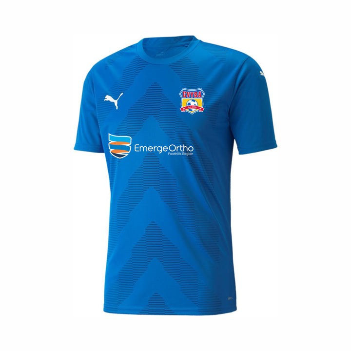 Camiseta CVYSA Puma Team