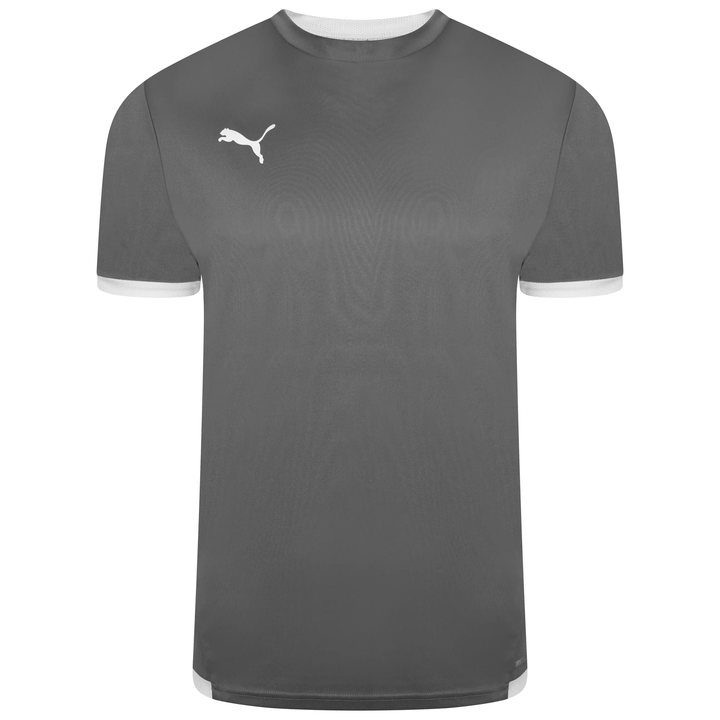 Camiseta Puma Team Liga