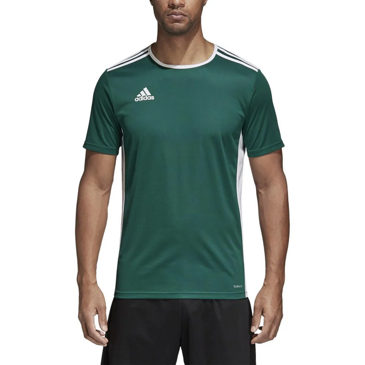 Camiseta adidas Entrada 18