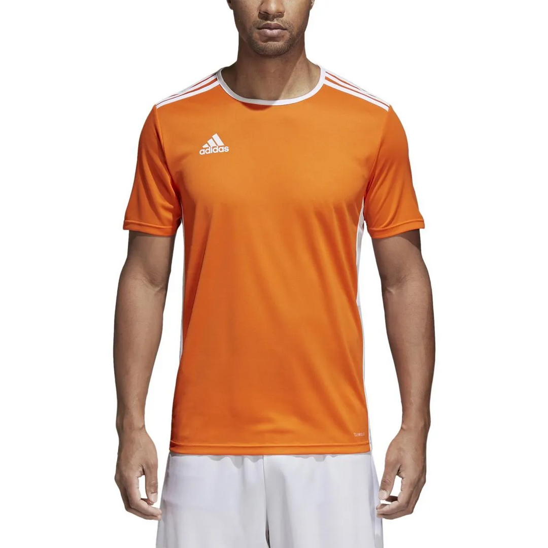 Camiseta adidas Entrada 18