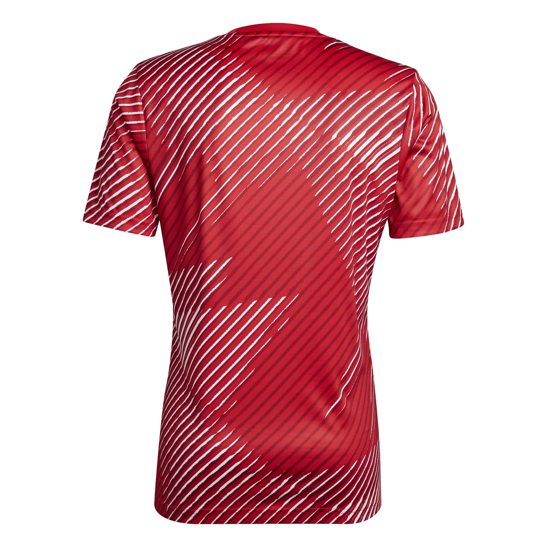 adidas Japan Pre-Match Jersey