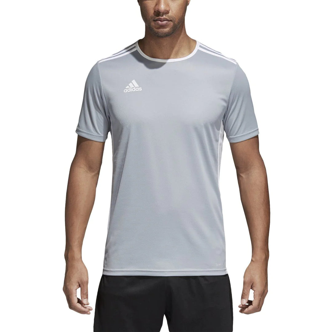 Camiseta adidas Entrada 18